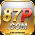 87P Game