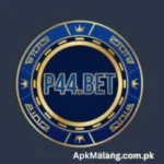 P44Bet Game