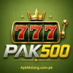 Pak500 Game
